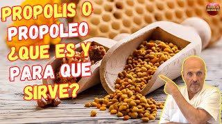 🐝 ¿QUE ES EL PROPOLIS O PROPOLEO Y PARA QUE SIRVE 🐝 [upl. by Wailoo988]