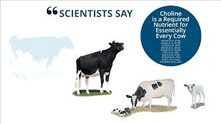 RSLS Turbocharge Your Fresh Cow Diets with Dr Thomas Overton Cornell University [upl. by Uria]