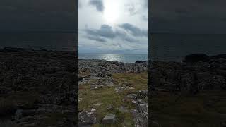 Sheeps playground Neist Point Lighthouse Isle of Skye Scotland 🏴󠁧󠁢󠁳󠁣󠁴󠁿 explore travel shorts [upl. by Lenoj488]