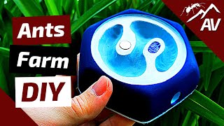 HOW TO BUILD an ANT FARM Make a DIY Plaster Ant Nest Formicarium [upl. by Crist]