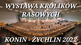 WYSTAWA KRÓLIKÓW RASOWYCH KONIN  ŻYCHLIN 2022  KZHK  chyba wracam na YouTube [upl. by Alrich]