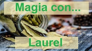 Propiedades Mágicas del Laurel ✨ Cómo Ritualizarlo [upl. by Ihab]