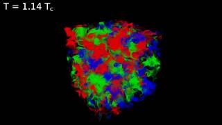 Centre Domains in the QCD Vacuum  Smeared Phase [upl. by Ehr]