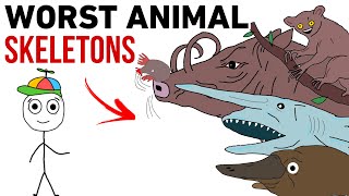 The WORST Animal Skeletons In 8 Minutes [upl. by Ahsenauq193]