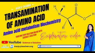 Transamination Amino acid metabolism  enzyme transaminase Biochemistry  science e solution [upl. by Yasu]