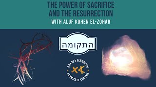 THE POWER OF SACRIFICE AND THE RESURRECTION WITH ALUF KOHEN ELZOHAR [upl. by Atreb974]