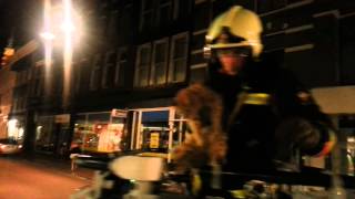 Brandweer redt poes uit dakgoot [upl. by Yllim]