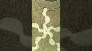 Amazing Stonehenge Crop Circle  30 June 2024  Crop Circles From The Air  shorts [upl. by Dnomde]