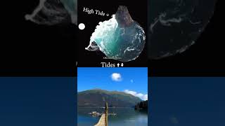 Physics High amp low Tides  Animation Explain shorts physics animation science viral tranding [upl. by Lajet880]