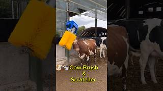 Automatic Swinging Cow Brush Back Scratcher shorts technology fyp cow farming viralvideo yt [upl. by Mill543]