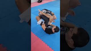 Top Jiu Jitsu Technique  Baratoplata from Turtle position [upl. by Yerg]