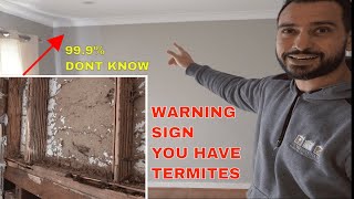 Termites in your house  Warning signs and damage [upl. by Syramad321]