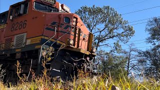 Louisiana Trains 8286 [upl. by Mirielle]