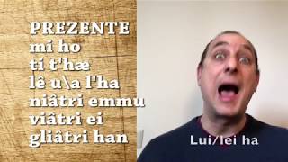 Andrea Di Marco  IMPARA O ZENEISE 2  Il verbo avere SUB ITA [upl. by Katusha417]