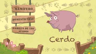 Las características del CERDO [upl. by Magbie]