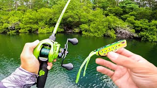 Topwater FROG ONLY Day of Fishing GIANT BASS [upl. by Berlinda336]