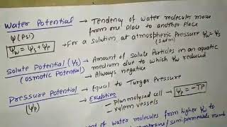 WATER POTENTIAL SOLUTE POTENTIAL PRESSURE POTENTIAL [upl. by Thill831]