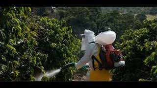 Se puede MEZCLAR FERTILIZANTE foliar con INSECTICIDAS y FUNGICIDAS 🥑 [upl. by Mallis]