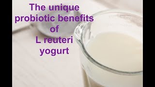 The unique probiotic benefits of L reuteri yogurt [upl. by Honor]