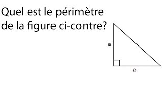 Périmètre dun triangle rectangle  Secondaire 3  Théorème de Pythagore  Exercice de Mathématiques [upl. by Aifoz]