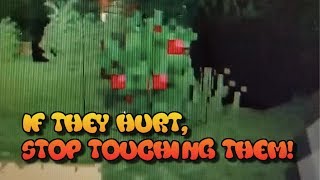 thorny bushesIf they hurt stop touching them Minecraft update [upl. by Norre]