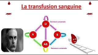 la transfusion sanguine تحاقن الدم Les groupes sanguins  le système ABO  le système Rhésus [upl. by Aicened753]