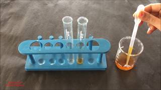 Phytochemical Test for Tannins English  Tannins Identification Test  Phytochemical Test [upl. by Leisha849]