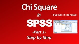 Chi Square Test in SPSS Part 1 [upl. by Schurman]