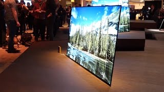 Sony unveils Bravia A1 4K OLED TV  CES 2017 [upl. by Yalonda]