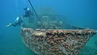 Scuba diving Bayahibe Dominican Republic Nov 2022 FPose [upl. by Eneroc]