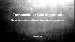 Medical vocabulary What does Transcellular Cell Migration mean [upl. by Ardelia136]