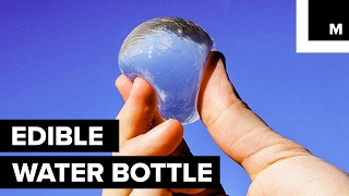 Scientists have created edible water [upl. by Daisie]