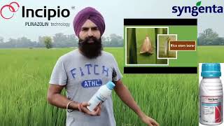 SYNGENTA INCIPIO  ਕੀਟਨਾਸ਼ਕ  INSECTICIDE [upl. by Jolenta]