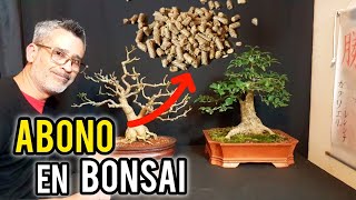 ⚠ COMO HACER UN BONSAI quotABONOquot ⚠ [upl. by Hassett]