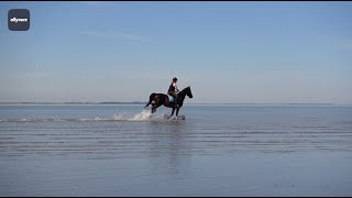 Rustige stranden op Tholen Zeeland  allyourz [upl. by Enitsirk835]