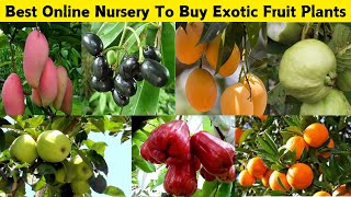 घर बैठे इस नर्सरी से मिलेगे सबसे बढ़िया विदेशी फलो के पौधे 🤩 Best Online Fruit Plant Seller 💯 [upl. by Anaeco]