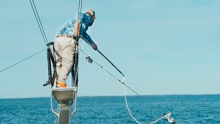 HARPOONING Bluefin Tuna in Cape Cod w Tyler Macallister [upl. by Nadabb637]