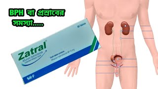 Zetral 10 mg in bangla Zetral10 এর কাজ কী [upl. by Hammer]