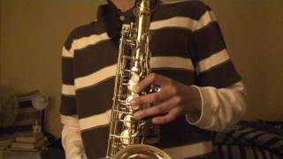 Through The Fire And Flames Cover Alto Sax [upl. by Harrietta]