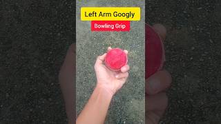 Left Arm Googly Bowling Grip💯🌟🏏shorts cricket bowling [upl. by Ferdinand653]