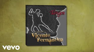 Vicente Fernández  Rencor Cover Audio [upl. by Yzeerb]