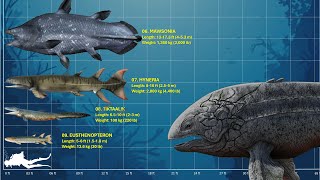 The 10 Largest Prehistoric Fishes [upl. by Andria]