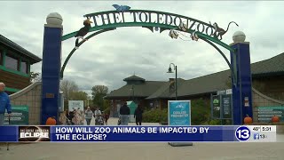 How will zoo animals be impacted by the eclipse [upl. by Crocker]