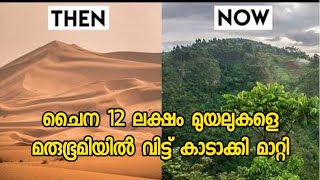 ചൈന മരുഭൂമി വനമാക്കി മാറ്റുന്നത് കണ്ടോ🥵 How China is turning desert into forest [upl. by Navillus247]