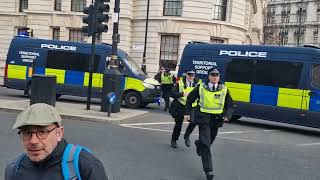 TSG POLICE STORM HORSE GUARDS SECURITY ALERT thekingsguard [upl. by Jamille]