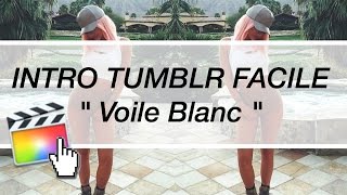 ➳ FCPX Faire Une Intro Type quotVoile Blancquot MINIMALISTE  ft Hailey Sani [upl. by Netsoj691]