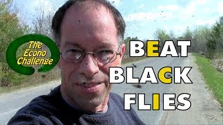 Black Fly  How To Protect Yourself In The Wilderness [upl. by Ecnarepmet]