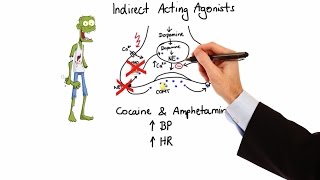 Pharmacology  ADRENERGIC RECEPTORS amp AGONISTS MADE EASY [upl. by Henley]