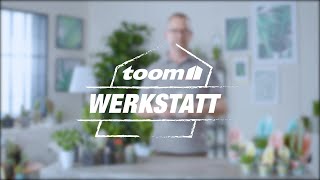 toom Pflanzentipps Sukkulenten und Kakteen  toom Baumarkt [upl. by Higgs207]