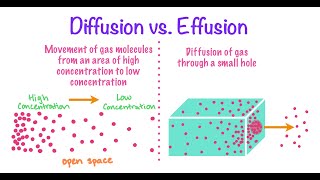 DIFFERENCE BETWEEN DIFFUSION AND EFFUSION jhwconcepts711 [upl. by Alguire52]